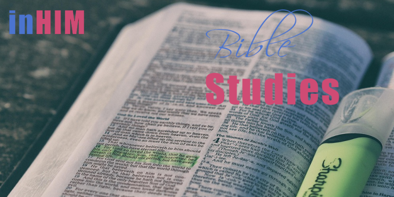 Bible Study: Genesis 1:5–31